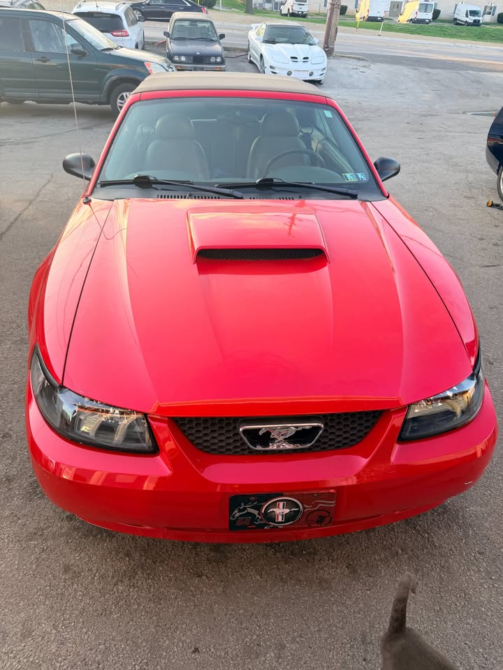 2003 Ford Mustang GT convertible